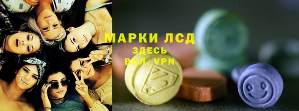 стаф Алзамай