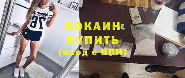 стаф Алзамай