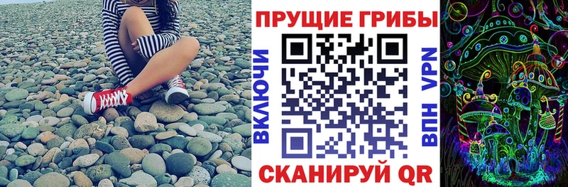 что такое наркотик Сосенский Псилоцибиновые грибы Cubensis